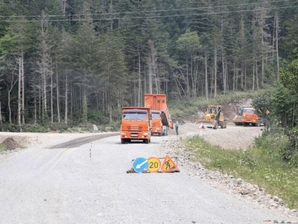 Медведица с медвежонком появились возле автодороги на ИтурупеХищников заметили в районе реконструкции участка автодороги «Курильск — аэропорт Буревестник».