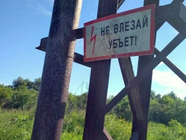 В ХМАО медведь залез на опору ЛЭП за птичьими яйцами в гнездеХищник получил смертельную травму в момент нахождения на самом верху опоры. Специалисты прибыли на место и спустили тушу зверя на землю.