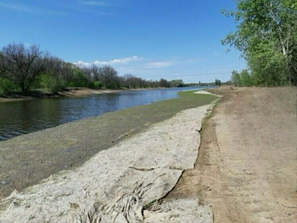 В Волго-Ахтубинской пойме восстановлена водная система ерика ГнилогоВ Волгоградской области завершилась экологическая реабилитация ерика Гнилого и связанных с ним озер Самсоновское и Вшивое. Восстановительные работы проходили в 2022-2024 гг., на их реализацию Росводресурсы направили свыше 395 млн рублей в рамках федпроекта «Оздоровление Волги» нацпроекта «Экология».