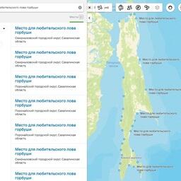 Выбор места для рыбалки сахалинцам решили упростить интерактивной картой