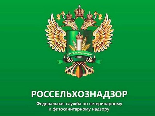 Астраханской области изъято 29 тонн браконьерской рыбыСотрудники Пограничного управления ФСБ обнаружили в Камызякском и Приволжском районах Астраханской области у ИП, занимавшихся скупкой рыбы частиковых видов, более 29 тонн замороженной рыбной продукции без ветеринарно-сопроводительных документов.