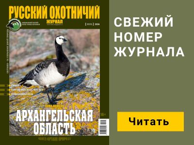 Китайская оптика – взгляд из Швейцарии