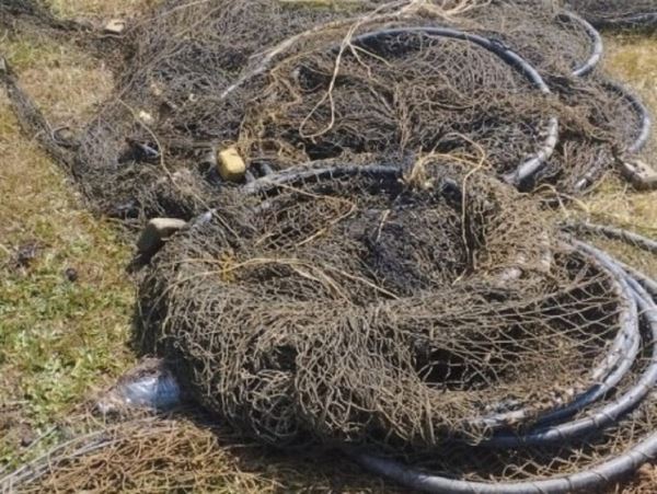 В Астрахани из воды достали очередной километр сетейГосинспекторами отдела рыбоохраны по Астраханской области с 3 по 11 июня выявлено 83 правонарушения, из них 8 правонарушений с признаками уголовного характера. По административным нарушениям правил рыболовства изъято 78 запрещенных орудий лова.