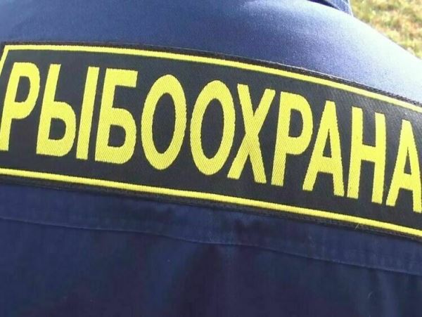 В отношении инспектора рыбоохраны возбуждено пять уголовных делИнспектор рыбоохраны по Республике Башкортостан в феврале 2024 г. с целью улучшения показателей по службе составил фиктивные административные протоколы о нарушении правил рыболовства пятерыми жителями Дюртюлинского района, которые занимаются ловлей рыбы. При этом, в действительности каких-либо фактов правонарушений им выявлено не было.