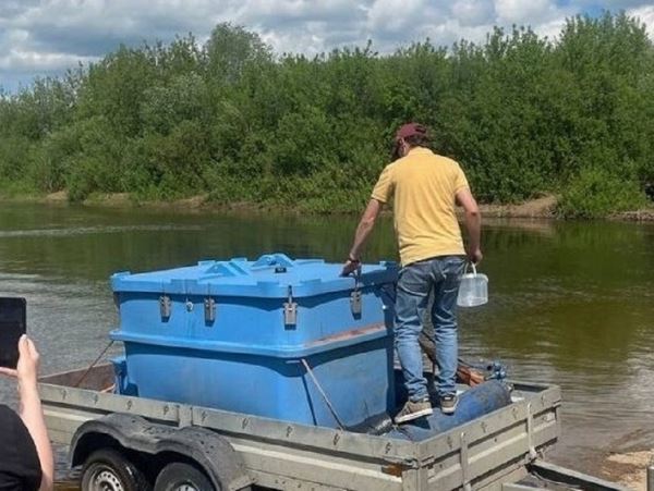 В Каму и Вятку выпустили молодь щукиВ целях компенсации ущерба водным биоресурсам (ВБР) от деятельности промышленных организаций состоялись работы по выпуску водных биоресурсов в бассейн реки Кама.